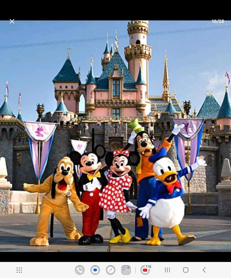 Jungle House Avec Jacuzzi A 10 Min De Disneyland -Taille Chambre- Conde-Sainte-Libiaire 외부 사진